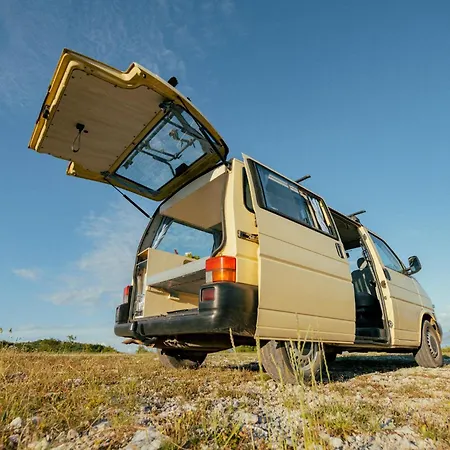 Bird Camper Istria Campsite Mali Turini